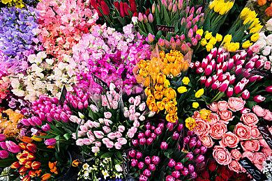 地雷社宣布将有新作推出 届时登录NS平台